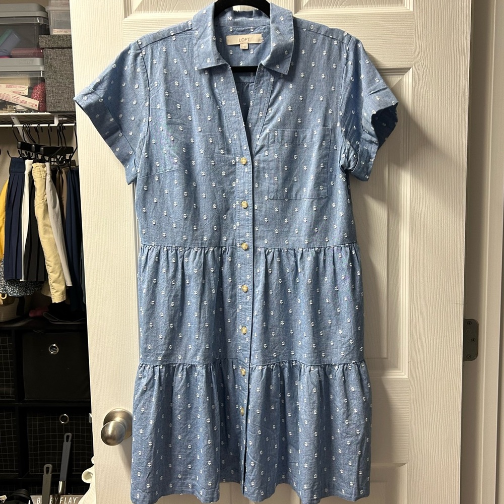Blue Button-Up LOFT Dress (M)